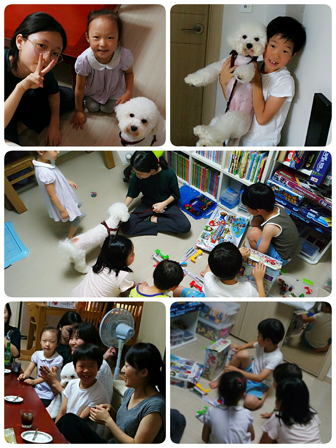 KakaoTalk_20170816_142948763.jpg